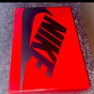 Air Jordan 1 high newstalgia chenille Wmns size 11.5